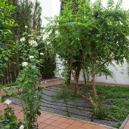 Apartamento De Lujo En Antiguo Convento 그라나다 외부 사진